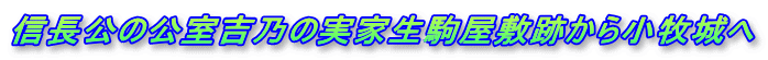 M̌gT̎Ɛ~Ղ珬q